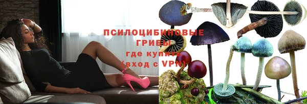 шишки Заволжск