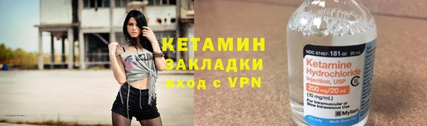 шишки Заволжск