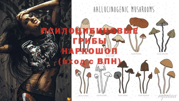 шишки Заволжск