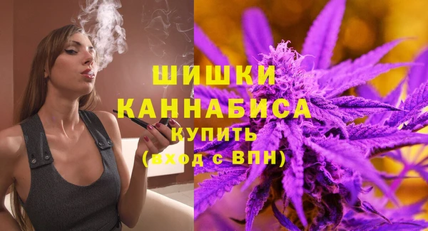 гидра Зеленодольск