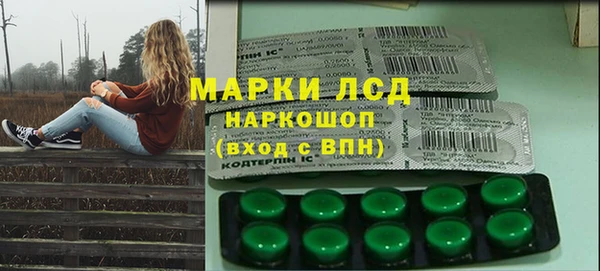 шишки Заволжск