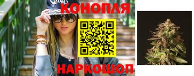 гидра Кимры