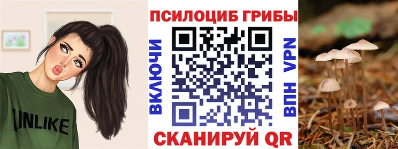 Галлюциногенные грибы Psilocybe  Костомукша 